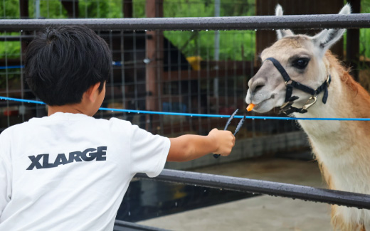 農家レストラン べべんこ