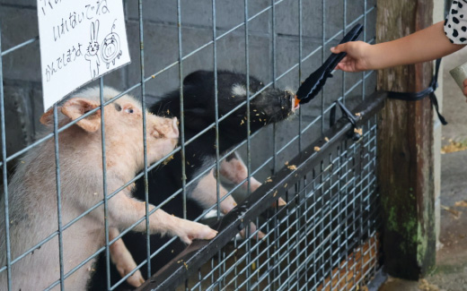 農家レストラン べべんこ