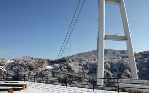 九重”夢”大吊橋