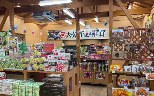 九重”夢”大吊橋