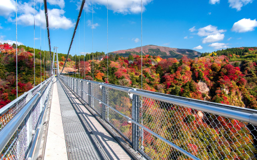 九重”夢”大吊橋