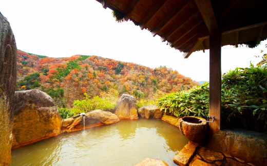 九酔渓温泉エリア