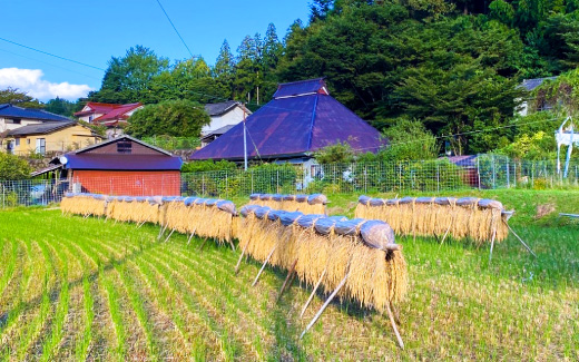 湯坪温泉エリア