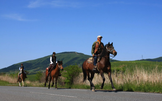 エル・ランチョ・グランデ（乗馬）