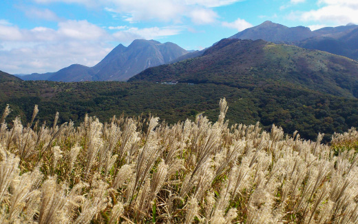 猟師岳（ハイキング・軽登山）