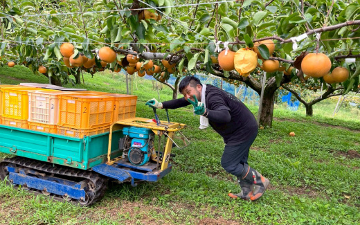 佐々木農園（梨狩り）