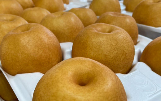 佐々木農園（梨狩り）