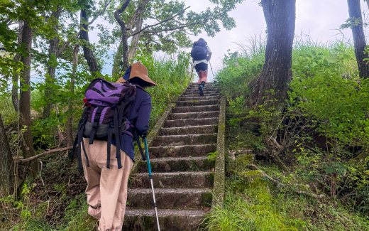 タデ原湿原（木道散策）