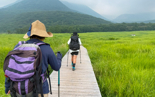 タデ原湿原（木道散策）
