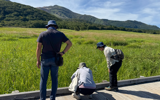タデ原湿原（木道散策）