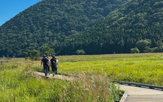 タデ原湿原（木道散策）