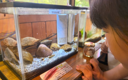 九重ふるさと自然学校