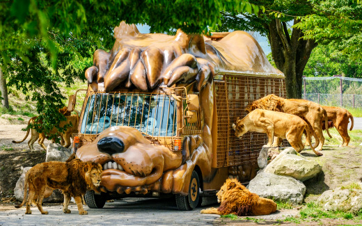 九州自然動物公園アフリカンサファリ