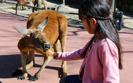 九州自然動物公園アフリカンサファリ