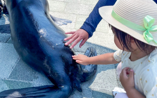 大分マリーンパレス水族館「うみたまご」