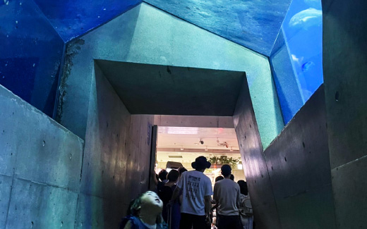 大分マリーンパレス水族館「うみたまご」