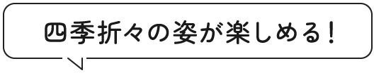 四季折々の姿が楽しめる！