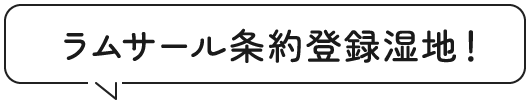 ラムサール条約登録湿地！